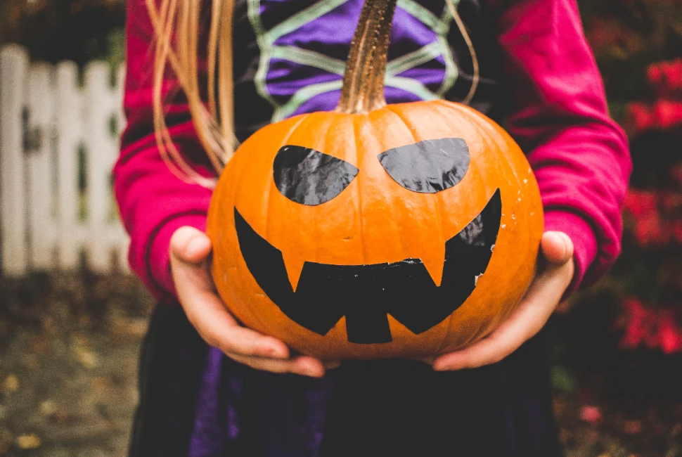 Celebrating in Style: Events and Festivals in Monroe, NY